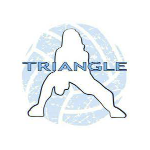 Triangle Volleyball Club Partner